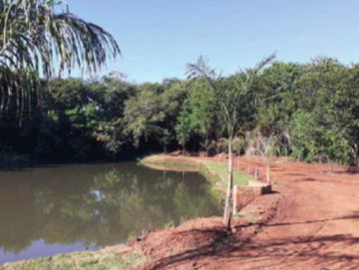 o que o dr. otacílio já fez por você de sta cruz do rio pardo - sp